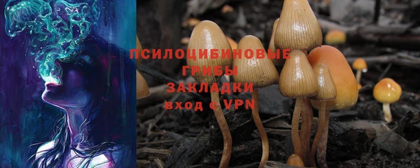 спиды Волгодонск