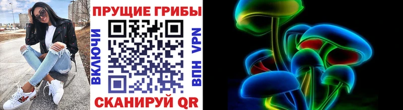 купить закладку Сухиничи Псилоцибиновые грибы Psilocybe